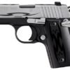 Sig Sauer P238 Tribal Two-Tone 380 ACP Centerfire Pistol