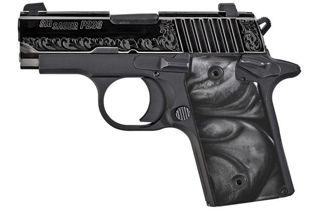 Sig Sauer P238 380 ACP Black Pearl Carry Conceal Pistol with Night Sights 1 Sig Sauer P238 380 ACP Black Pearl Carry Conceal Pistol with Night Sights