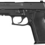 Sig Sauer P229 40 S&W Centerfire Pistol