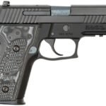 Sig Sauer P229 Extreme 9mm Centerfire Pistol with Extreme G-10 Grips