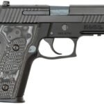Sig Sauer P229 Extreme 40 S&W Centerfire Pistol with G-10 Grips