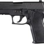 Sig Sauer P227 Carry Nitron 45 ACP Centerfire Pistol with Night Sights