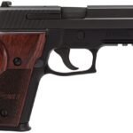 Sig Sauer P229 9mm Centerfire Pistol with Rosewood Grips and Night Sights