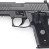 Sig Sauer P229 Legion 40 S&W Centerfire Pistol with Night Sights
