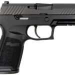 Sig Sauer P320 Carry 45 ACP Striker-Fired Pistol