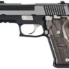 Sig Sauer P220 Equinox 45ACP Centerfire Pistol with Night Sights