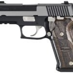 Sig Sauer P220 Equinox 45ACP Centerfire Pistol with Night Sights