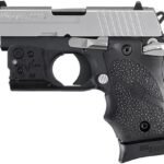 Sig Sauer P238 Two-Tone 380 ACP Centerfire Pistol with Viridian R5 Red Laser