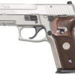 Sig Sauer P229 Elite 9mm Alloy Stainless with Night Sights