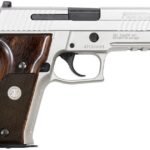 Sig Sauer P226 Elite 40 S&W Alloy Stainless with Night Sights