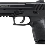 Sig Sauer P250-22 Compact 22LR DAO Rimfire Pistol