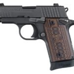 Sig Sauer P238 Select 380 ACP Carry Conceal Pistol