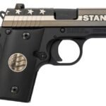 Sig Sauer P238 Stand 380 ACP Carry Conceal Pistol with Night Sights
