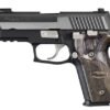 Sig Sauer P229 Equinox 40 S&W Centerfire Pistol with Nickel Accents