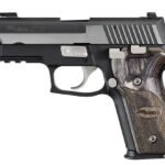 Sig Sauer P229 Equinox 40 S&W Centerfire Pistol with Nickel Accents