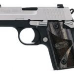 Sig Sauer P238 Blackwood 380 ACP Centerfire Pistol with Night Sights