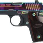 Sig Sauer P238 Rainbow 380 ACP Centerfire Pistol with Night Sights
