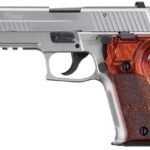 Sig Sauer P226 Elite Stainless 9mm Centerfire Pistol with Night Sights