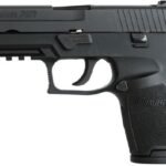 Sig Sauer P250 Compact 40 S&W Centerfire Pistol with Night Sights