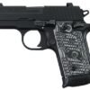 Sig Sauer P238 Extreme 380 ACP Centerfire Pistol with Night Sights