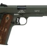 Sig Sauer 1911-22 Olive Drab Green 22LR Rimfire Pistol