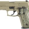 Sig Sauer P229 Scorpion 9mm Centerfire Pistol with Night Sights