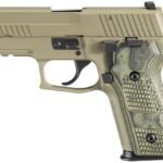 Sig Sauer P229 Scorpion 9mm Centerfire Pistol with Night Sights