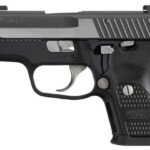 Sig Sauer P224 Equinox 40 S&W Centerfire Pistol with Night Sights