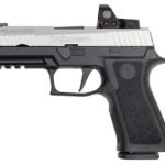 Sig Sauer P320 X-Carry 9mm 17-Round Pistol Two-Tone Stainless with ROMEO1 Reflex Sight