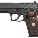 Sig Sauer P229 9mm DA/SA Pistol with Night Sights and Wood Grips