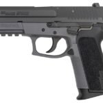 Sig Sauer SP2022 GHOST 9mm Pistol with Ghost Grey Frame