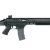 Sig Sauer SIG556 Classic SWAT 5.56mm Rifle